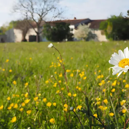 L'etable - Les Du Moulin *