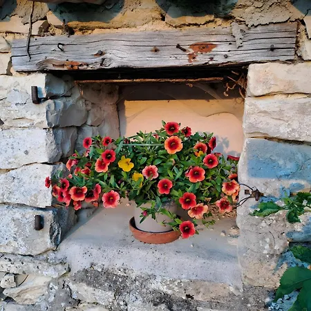 L'etable - Les Du Moulin 別荘 Saint-Hilaire-la-Palud