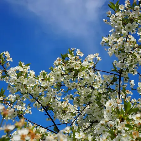 別荘 L'etable - Les Du Moulin *