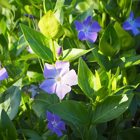 別荘 L'etable - Les Du Moulin