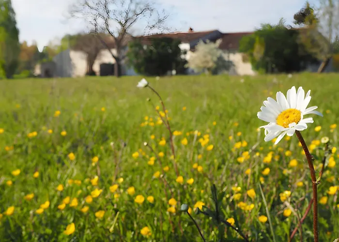 L'etable - Les Du Moulin *