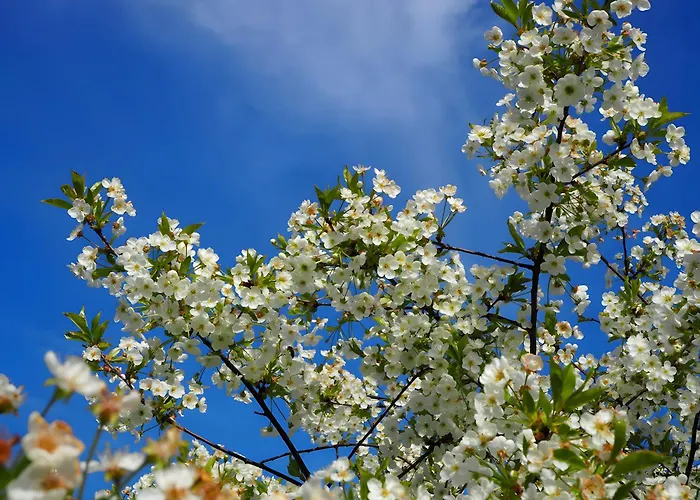 Сasa de vacaciones L'etable - Les Du Moulin *