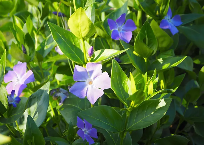 Сasa de vacaciones L'etable - Les Du Moulin